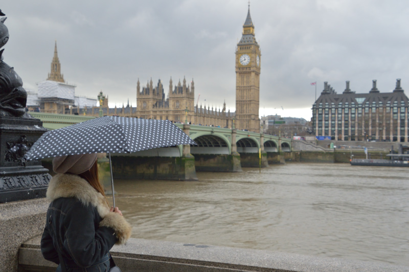 Viaggio a Londra! Una delle più belle Capitali d'Europa Tra Musei, Attrazioni e...Cibo!