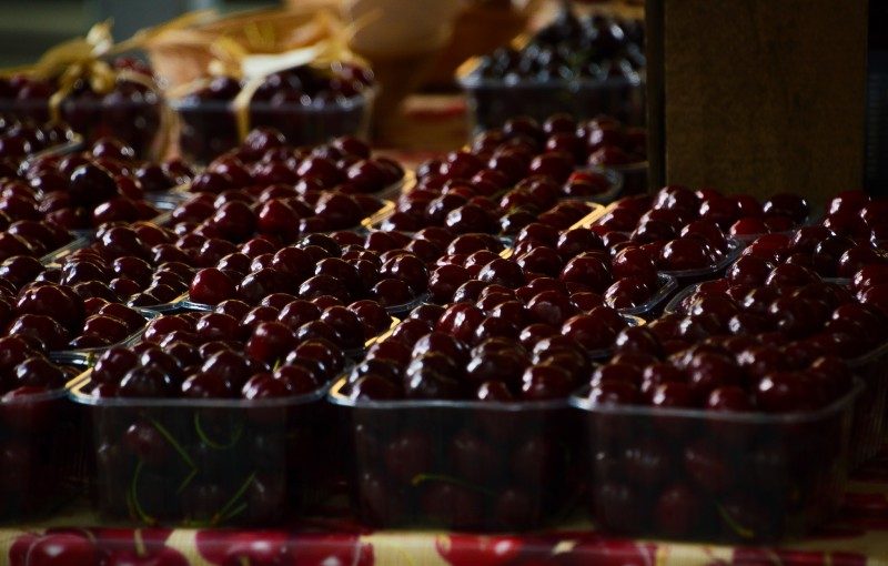 Ciliegie di Vignola! Un Tuffo nella Dolcezza del Frutto dell'Estate