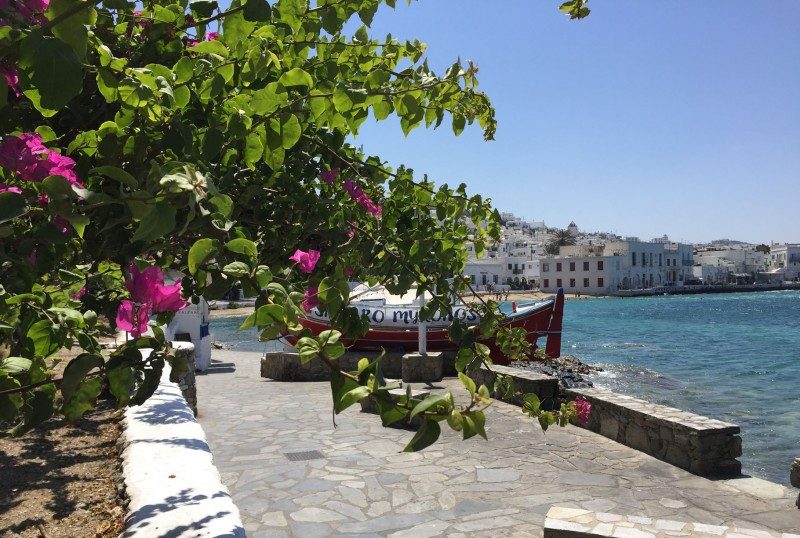 Le Mie Vacanze a Mykonos ! L'Isola del Vento nel Blu dell'Egeo